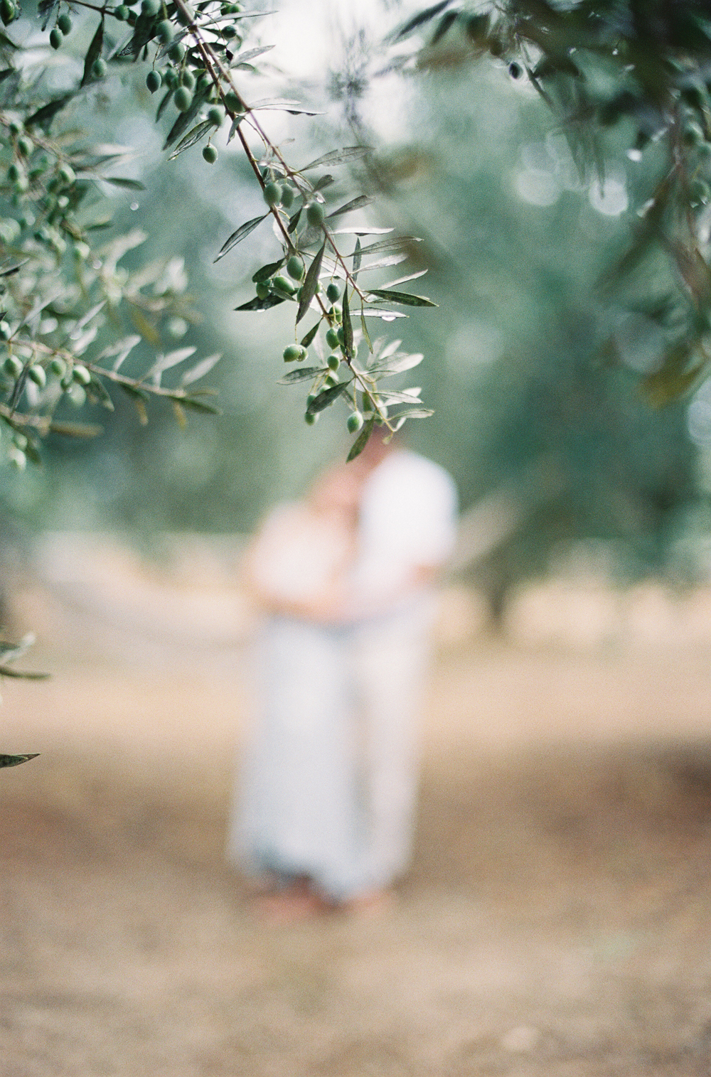 Simple Engagement Session in an Olive Grove | Les Anagnou destination film wedding photographer