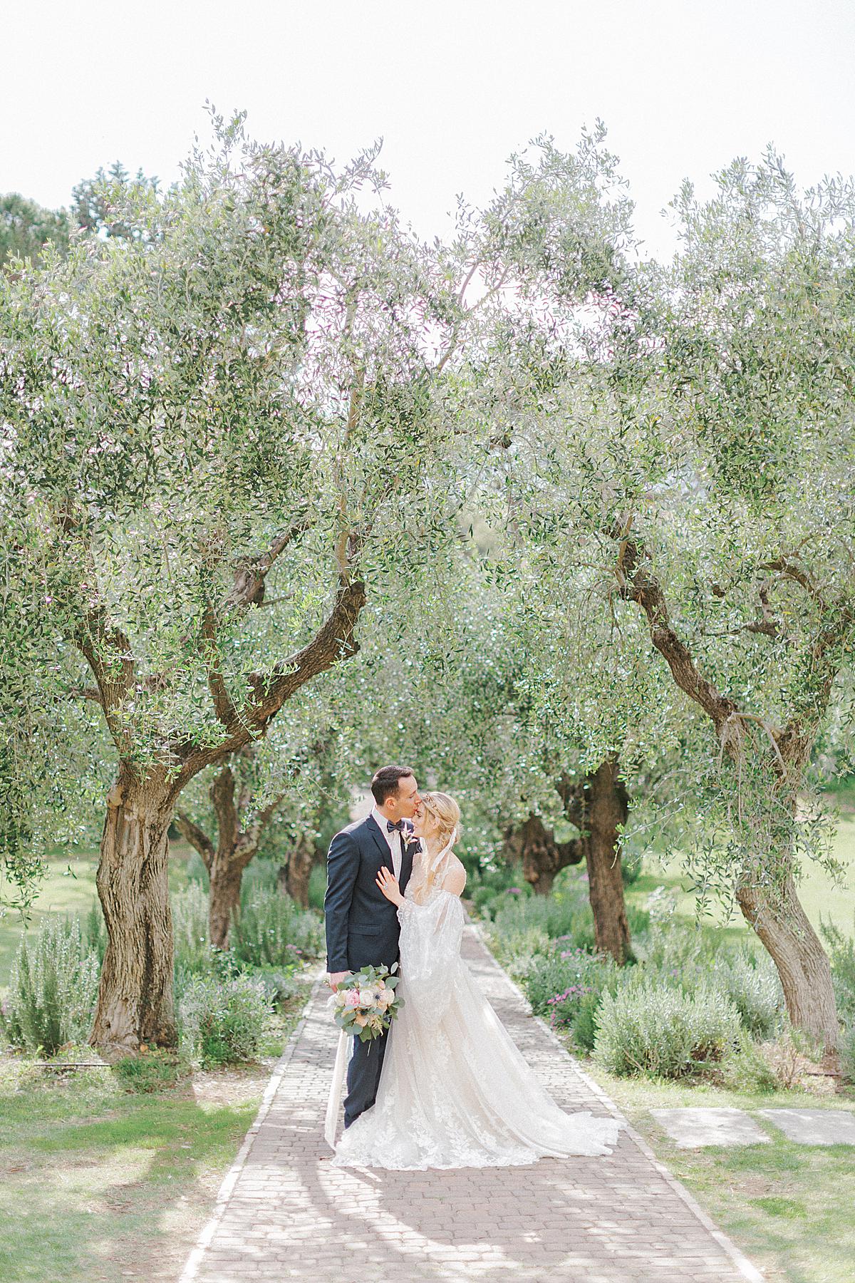 bride and groom portraits at L'Andna in Tuscany